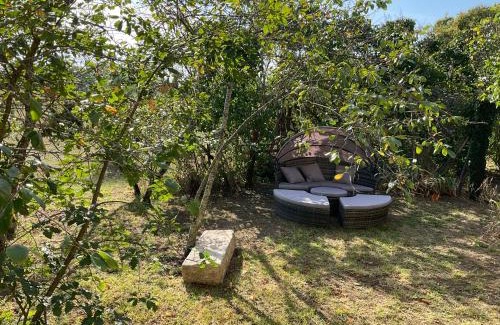 Robins Bay Cama Y Desayuno | Maison Dulcis
