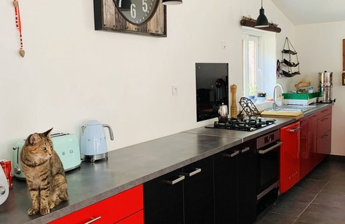 Hourtin Casa | Maison en bois sur parc de 2000 m2 avec piscine chauffée au sel + wifi