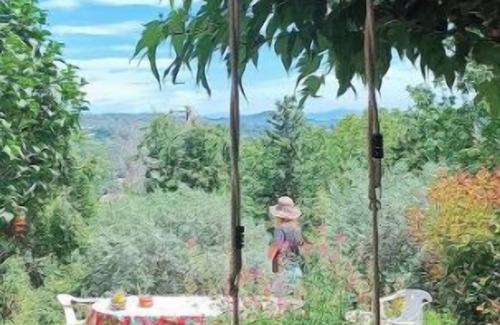 Forcalquier Casa | Maison Havre de Paix