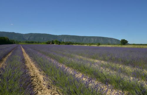 Maubec Casa | Maison L'oustalette De Mau-bé