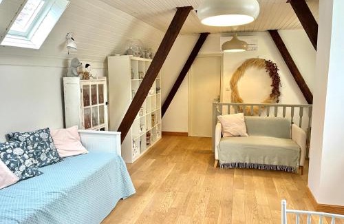 Schiltigheim Casa | Maison privée avec jardin OU suite de 45M2- 5 arrêts bus du centre ville -Chez Regine