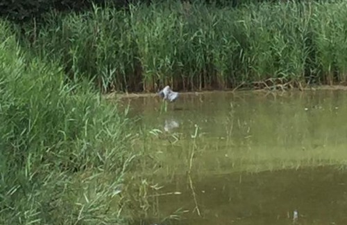 Wimille Cama Y Desayuno | Maison priveé