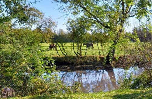 La Ferte-en-Ouche Casa | Maison restaurée à la ferme équestre avec terrasse close et animaux admis - FR-1-497-239