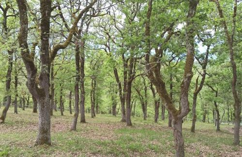 Cremps Casa | Maison sur le causse du Quercy Lot 46