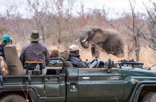 Hoedspruit Cabina | Makalali River Lodge