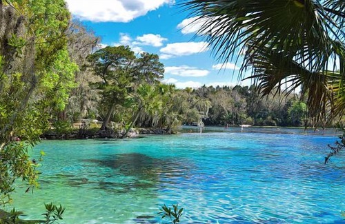 Seville Casa | Make Your Trip One to Remember! Close To Lake George Conservation!