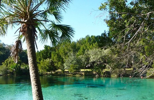 Seville Casa | Make Your Trip One to Remember! Close To Lake George Conservation!