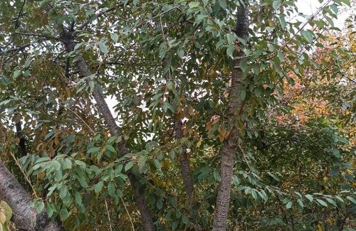 Balykchy Casa | Makhabat Guest House