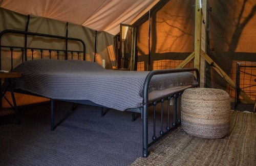 Saluda Cabina | Making The Best Memories Along The Way! Near Green River Cove Trailhead