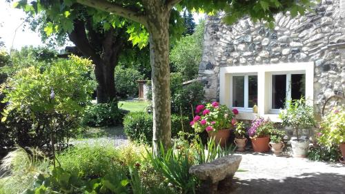 Rochemaure Casa | Malarias 1