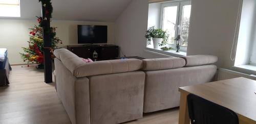 Chojnice Apartamento | Malinowa 36 Apartamenty