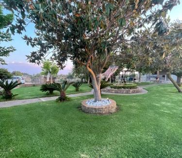 Skafidia Villa | Mama’s Sunshine Garden Villa