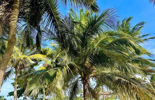 Matemwe Hotel | Mambo Beach Villas