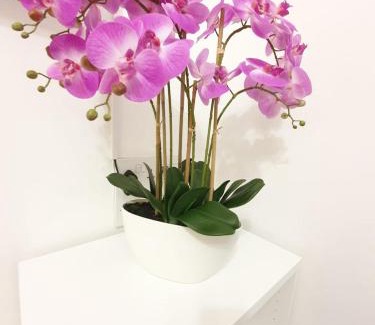 Levenshulme Apartamento | Manchester Holiday Apartment