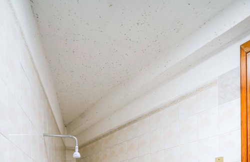 Chiconcuac Casa | Casa Mandala | Equilibrio y armonía