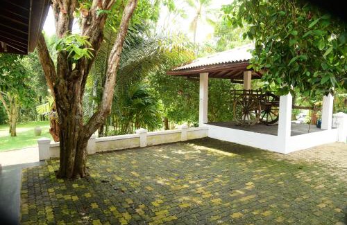 Ambalangoda Casa | Mango Breeze Hikkaduwa