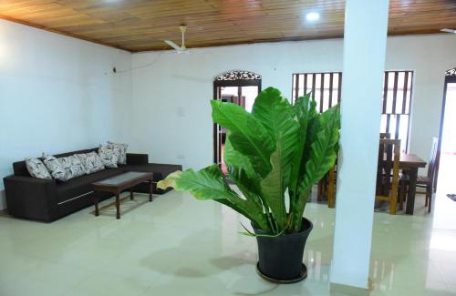 Ambalangoda Casa | Mango Breeze Hikkaduwa