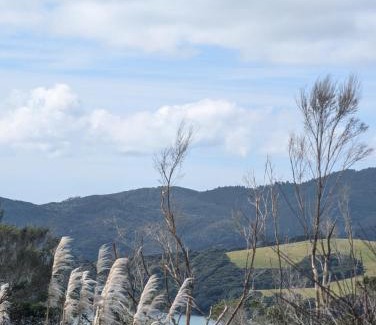 Mangonui Apartamento | Mangonui Garden Flat