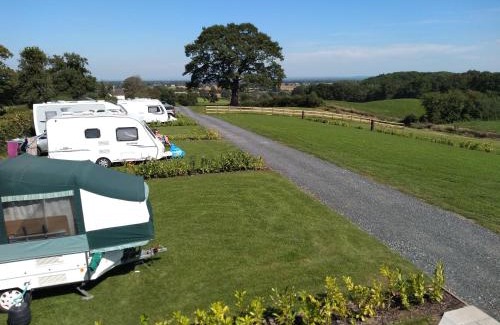 Whitchurch Otro | Marbury Camp and Lodge