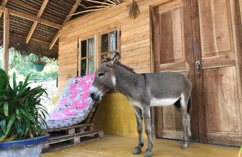 Kalpitiya Hotel | Margarita Village kite school kalpitiya