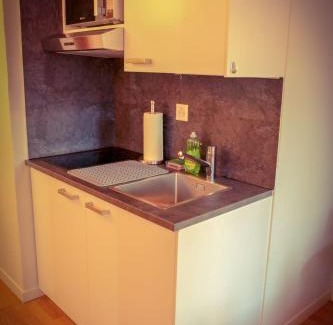 Niederdorf Apartamento | Margaritli Old town Zürich