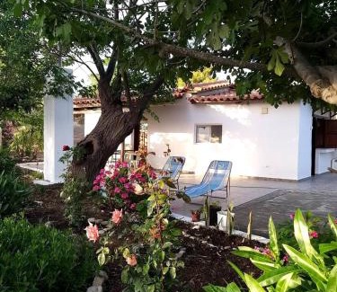 Lepreo Casa | Maria's Home