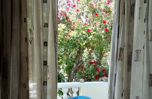 Drosia Apartamento | Marietta Apartments Zakynthos