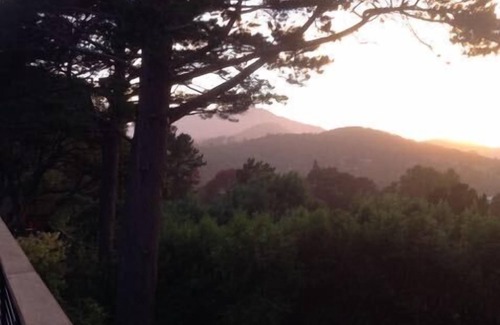 Corte Madera Casa | ¡La magia del condado de Marin, cerca del centro, andar en bicicleta, navegar y el país del vino!