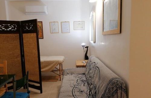 Capitolo Casa | Mariposa verde