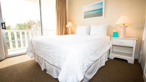 Montauk Complejo | Marram