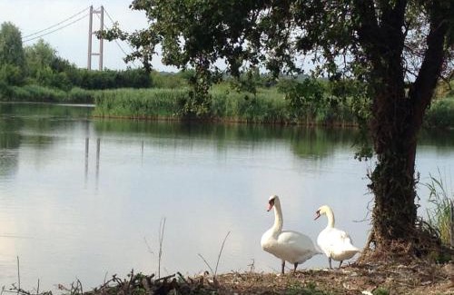 Barton-upon-Humber Cabina | Marshlands Lakeside Nature Retreat