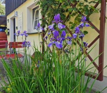 Altenberg Apartamento | Marthas Stübchen