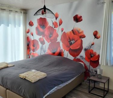 Templeuve Cama Y Desayuno | Mary's Poppies - Bed & Breakfast