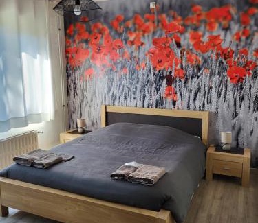 Templeuve Cama Y Desayuno | Mary's Poppies - Bed & Breakfast