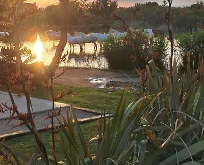 Saintes-Maries-de-la-Mer Cama Y Desayuno | Mas des Cabidoules