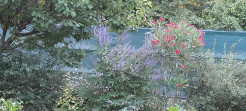 Beaucaire Cama Y Desayuno | Mas