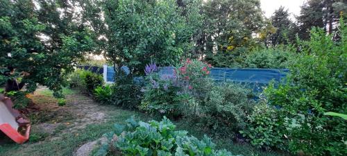 Beaucaire Cama Y Desayuno | Mas