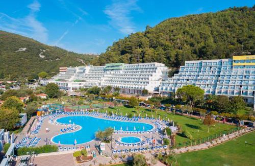 Labin Complejo | MASLINICA Oliva Camping