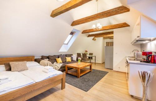 Stare Mesto Apartamento | Masná 20 - Old Town Residence