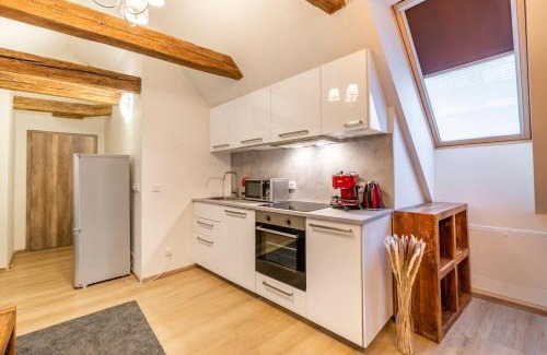 Stare Mesto Apartamento | Masná 20 - Old Town Residence