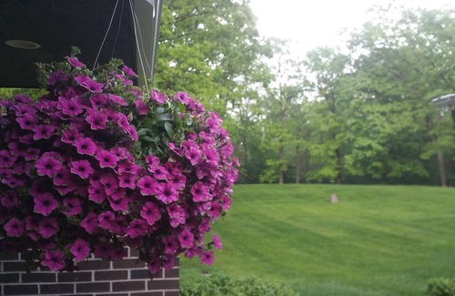 Riverwoods Casa | Master qtr cerca de la naturaleza y facilidades urbanas