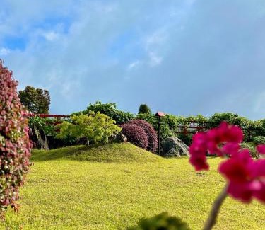 Capivari Hotel | Matsubara Pousada