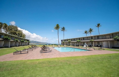 Kahului Casa | Maui Dream! 4 Units w/ Garden Views, Minutes to Maui Nui Botanical Gardens!