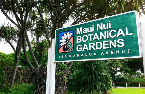 Kahului Casa | Maui Dream! 4 Units w/ Garden Views, Minutes to Maui Nui Botanical Gardens!
