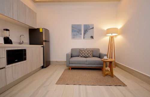 Luis Donaldo Colosio Condominio | Mayan Monk