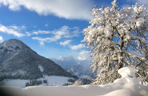 Lofer Apartamento | Mayrberg