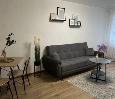 Kedainiai Apartamento | MB BENO TRUMPALAIKE NUOMA LUKSIUKAs