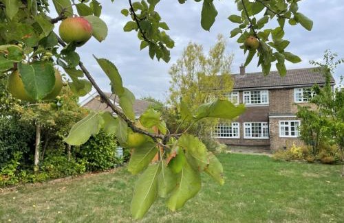 Old Somerby Casa | Meadow Lark