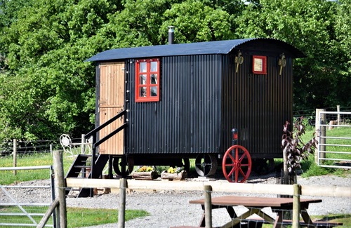 Rhayader Cabina | Meadow Shepherds hut