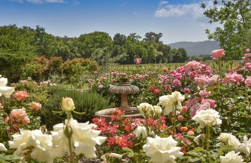 Yountville Casa | Retiro mediterráneo en el país del vino